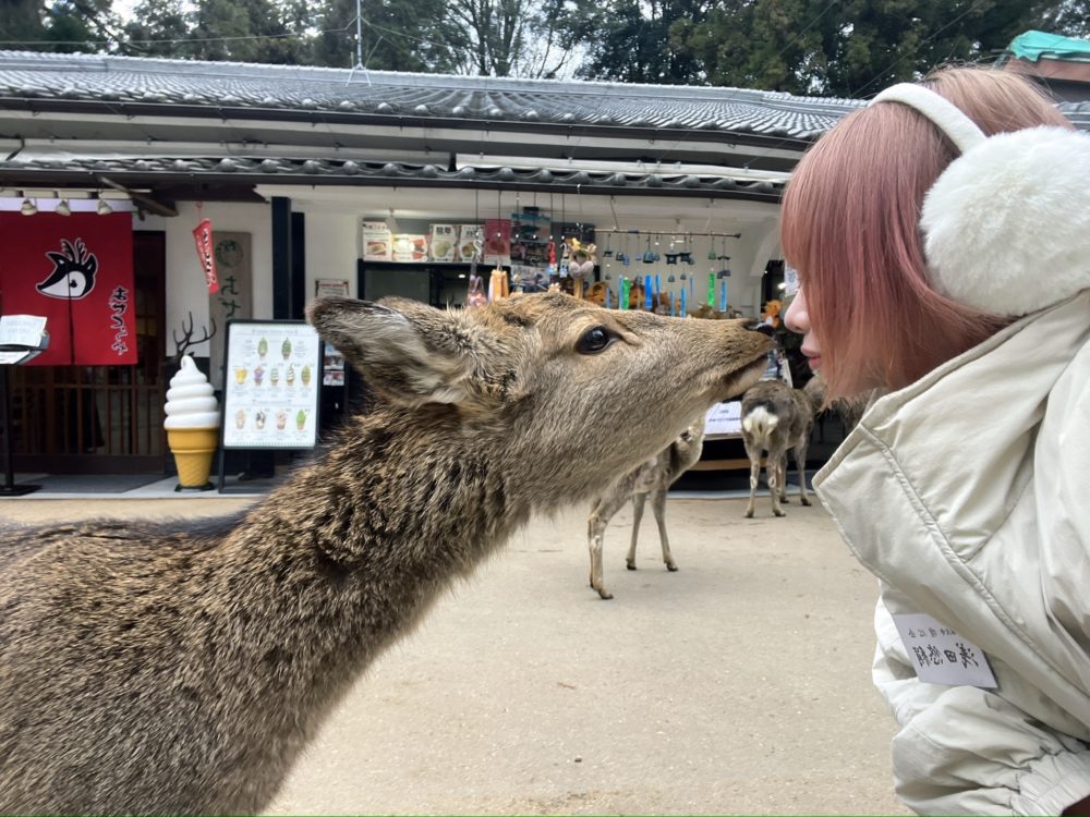 鹿と長女の画像